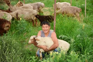 顺丰助推内蒙古牛羊肉产业升级